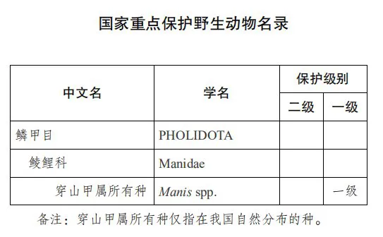 可能，我们永远都不知道，穿山甲到底说了什么了