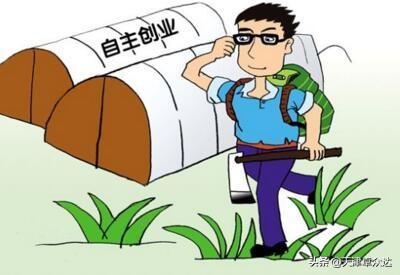 分享 | 电商创业的八种方式