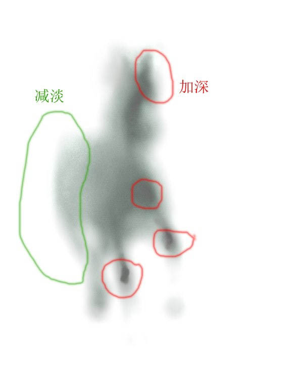 PS教你移花接木-从屏幕中跃出的骏马