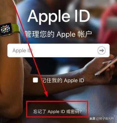 iPhone手机ID密码忘记了怎么办？三种方法轻松解决问题