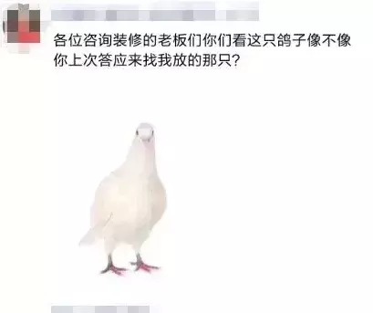 看设计师的朋友圈，个个都是文案鬼才