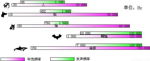 全民k歌学会这些调音技巧，不愁没有SSS，歌声好听，粉丝暴增