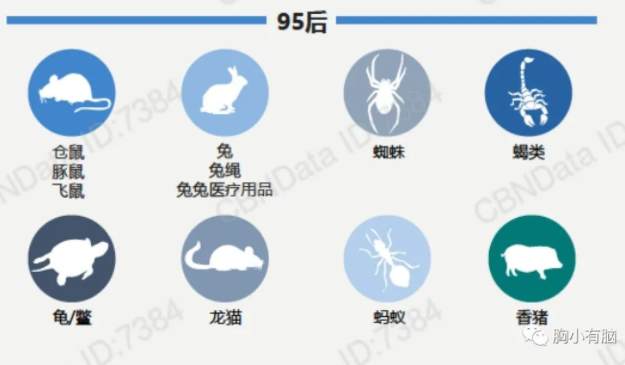 B站《后浪》刷屏营销策略