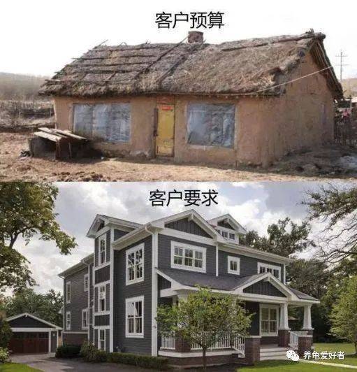 老板，有没有既漂亮又好养还便宜的龟？有，马上安排