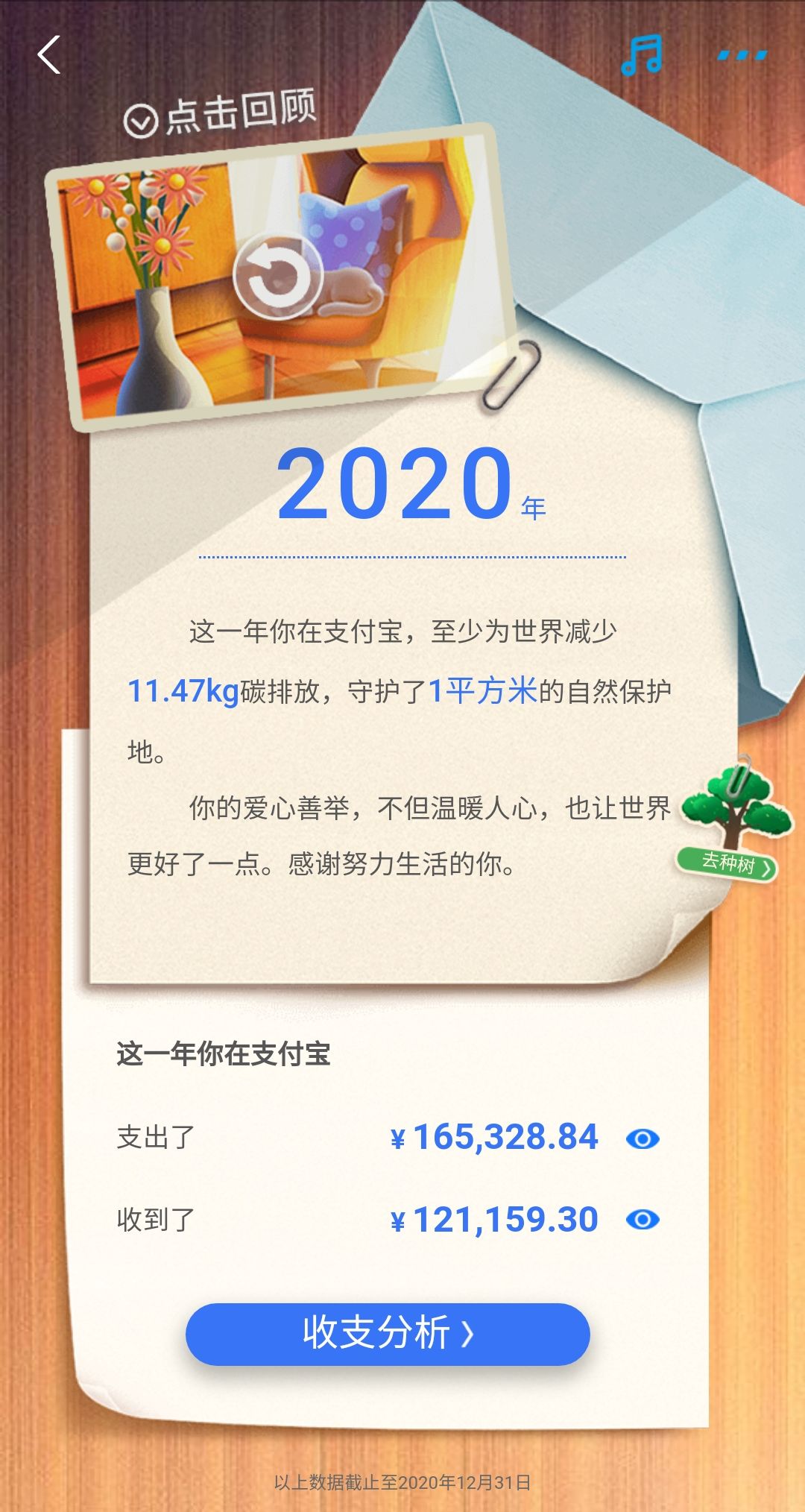 2020年你的支付宝账单如果收入大于支出，那你就成功了