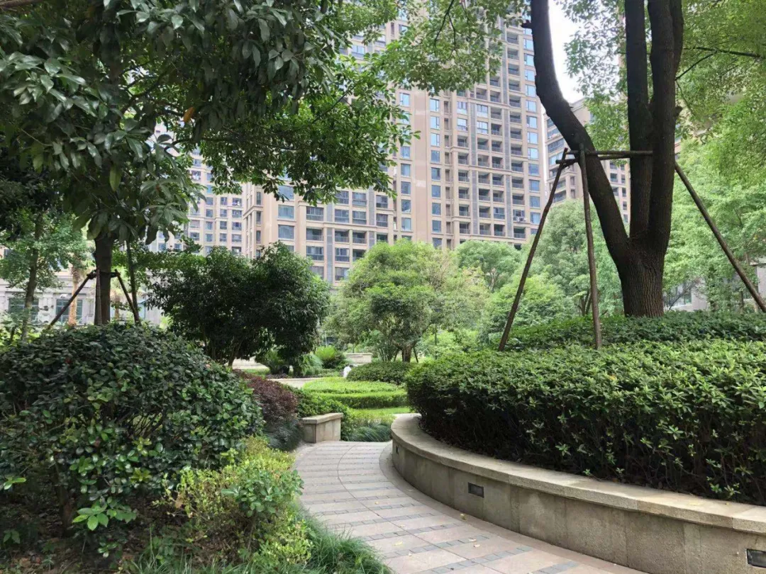 实探！二手房价涨幅垫底的临平老城，却是自住客的“天堂”