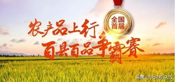 分享 | 电商创业的八种方式