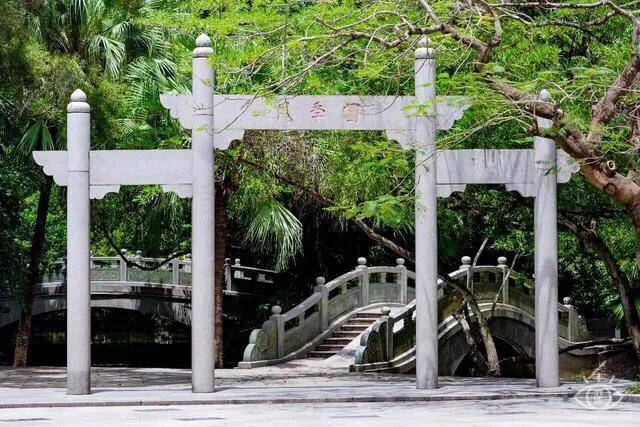 深圳十大免费花海公园