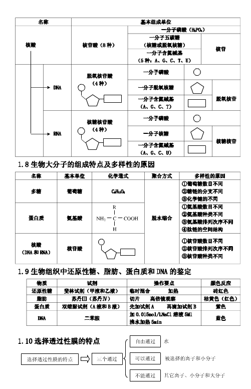 高中生物知识点整理 生物必备知识点