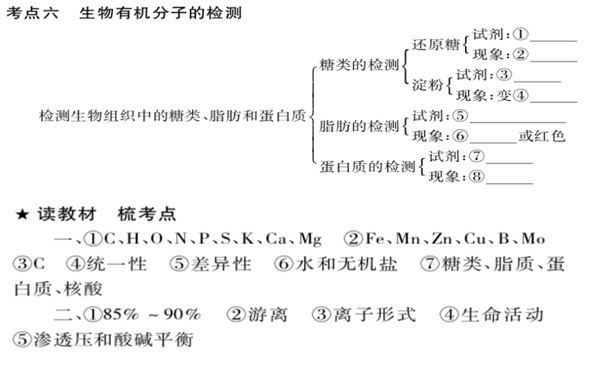 生物必修一知识框架结构图 高中生物知识点总结