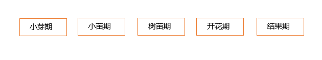 游戏化的多多果园为什么让人欲罢不能？