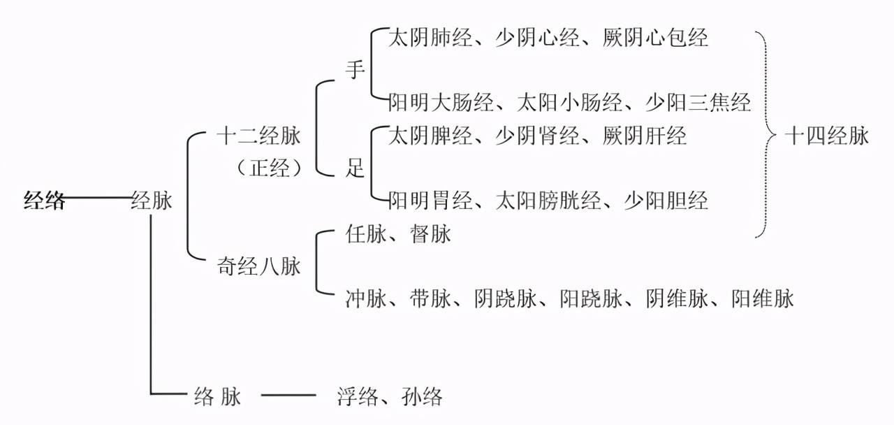 中医之美——什么是经络？经脉是什么？