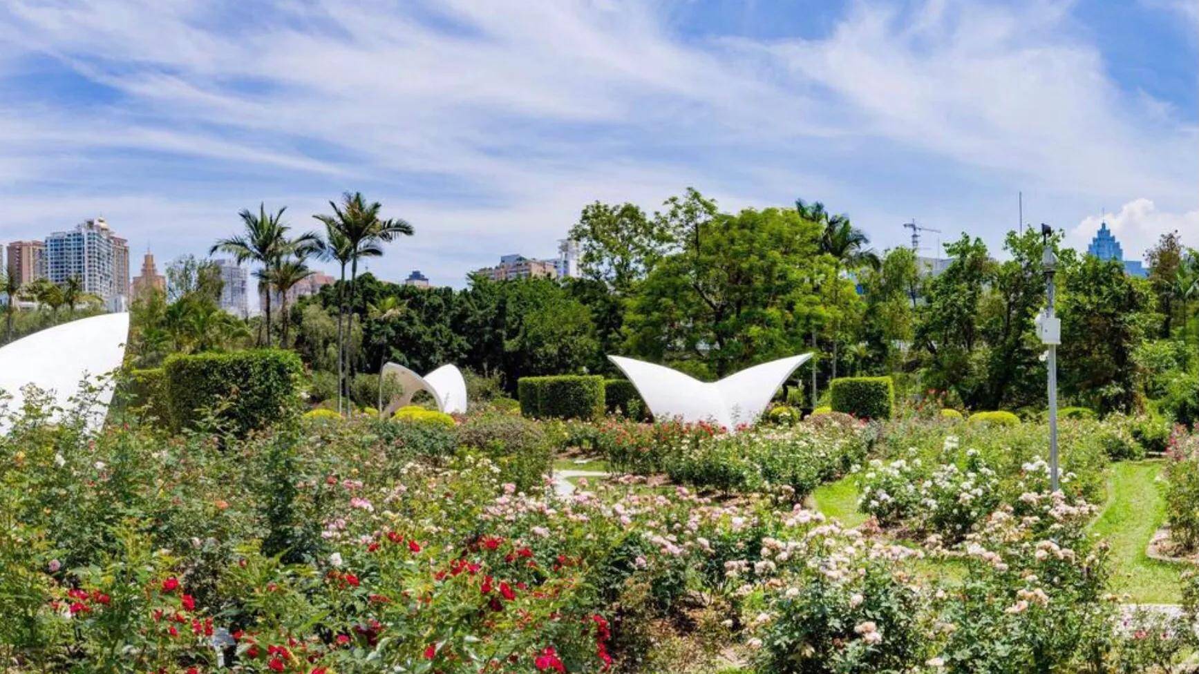 深圳十大免费花海公园