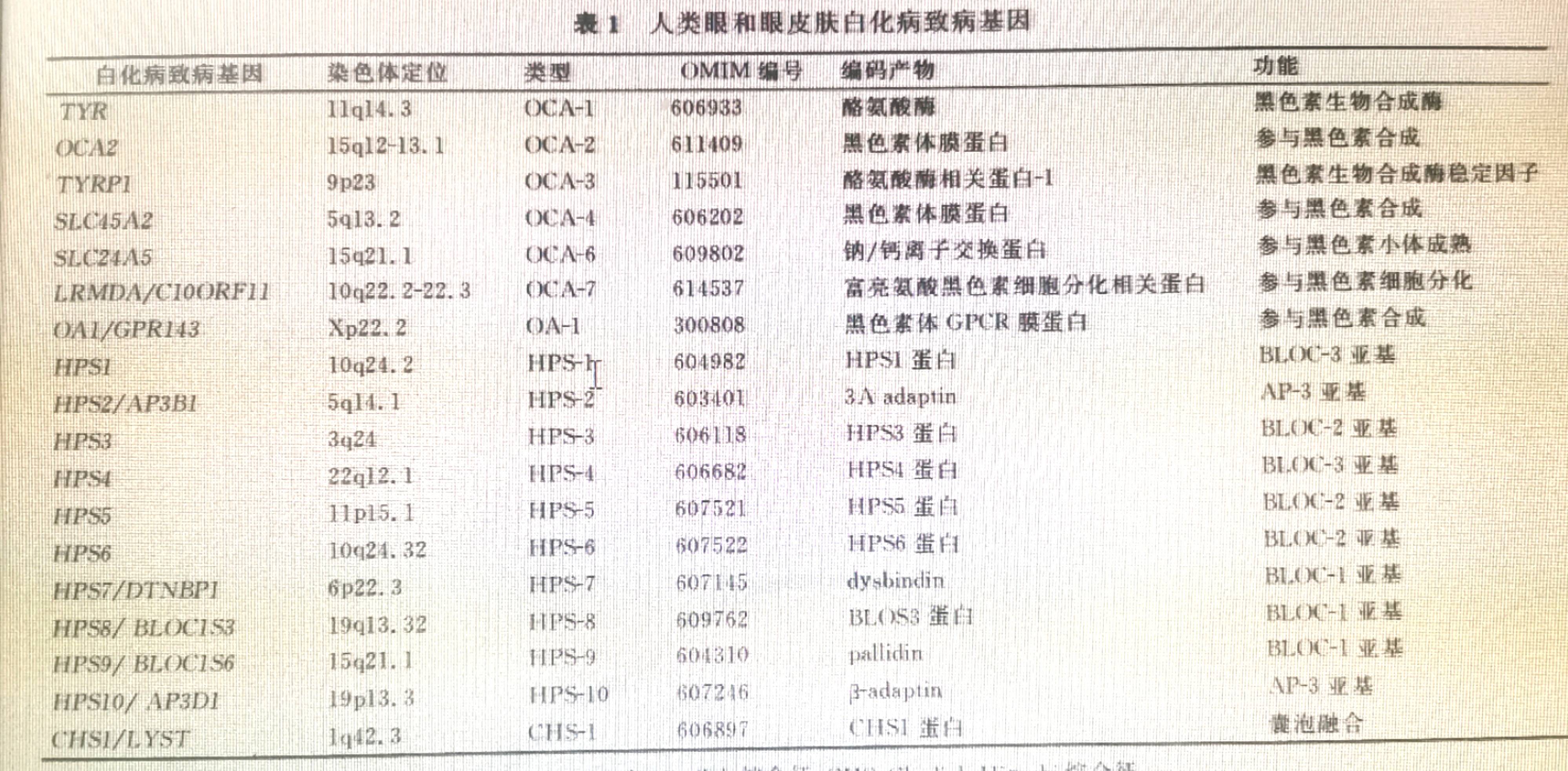 “月亮的孩子”，罕见病系列之白化病