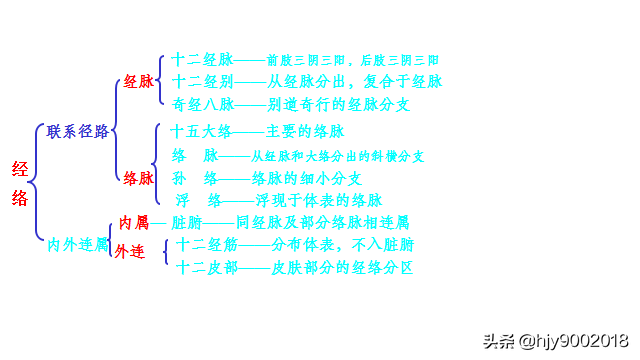 经络的基本概念与组成