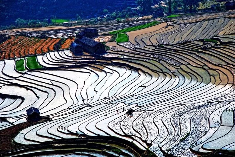 云南「摸奶节」？据传就在七月十五「鬼节」当天