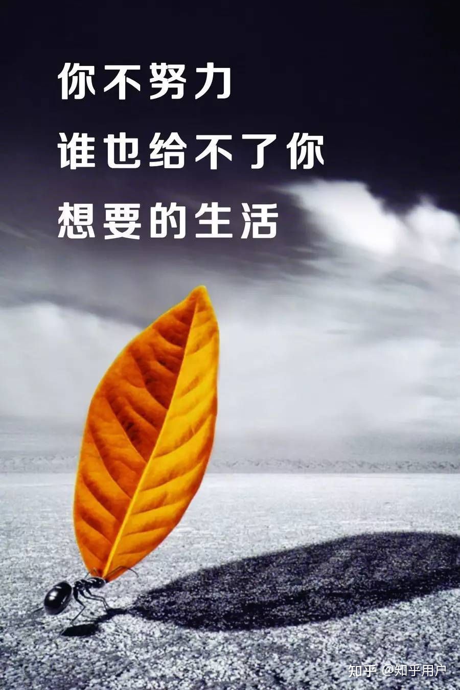 草根出身，如何一步步成为大股东？