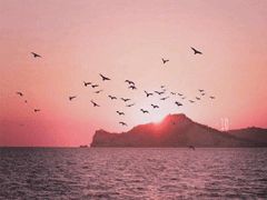 抖音很火的短句英文