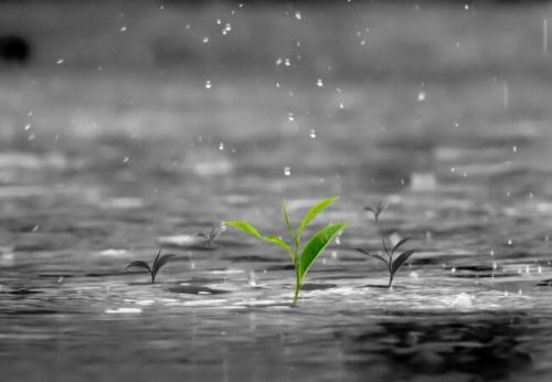 雨天正能量的句子 雨天短句暖心话正能量
