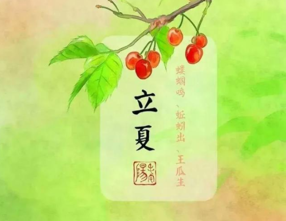 立夏到了的句子