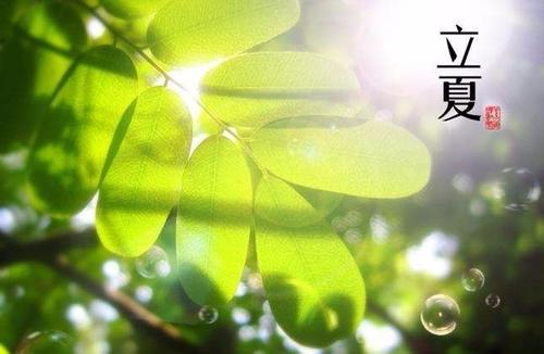 形容立夏的美好语句