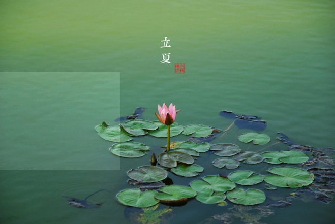 形容立夏的美好语句