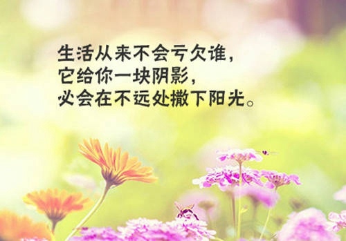 2021年最火的的句子一句话(48句)