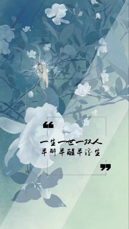 你读过哪些美到醉的表白句子