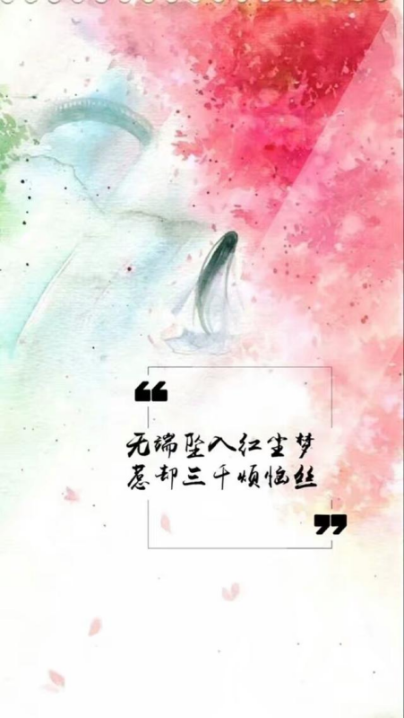 你读过哪些美到醉的表白句子