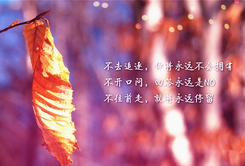 抖音励志语录心灵鸡汤(76句)