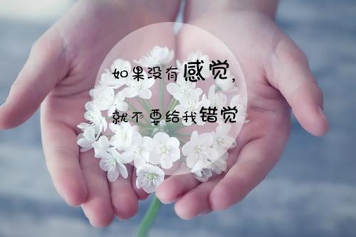 有关爱情友情人生的经典语录