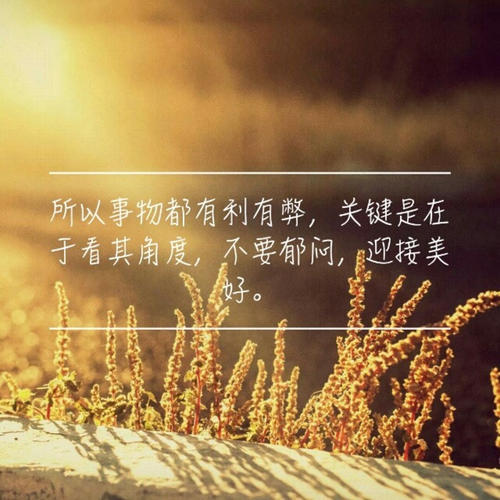 伤感爱情的语录荟萃