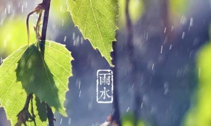 适合圣诞节朋友圈的说说 圣诞节搞笑句子
