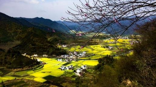 爱国爱家的名言警句 三毛名言名句优美句子