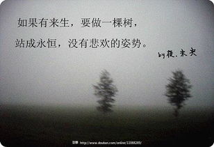 最喜欢的一句话