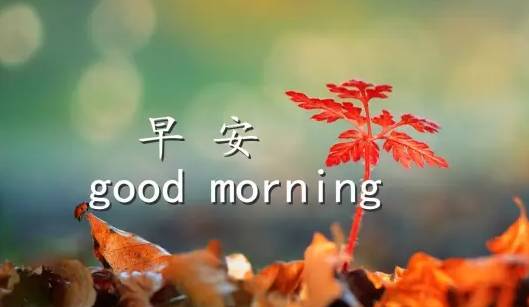 给朋友的暖心问候语