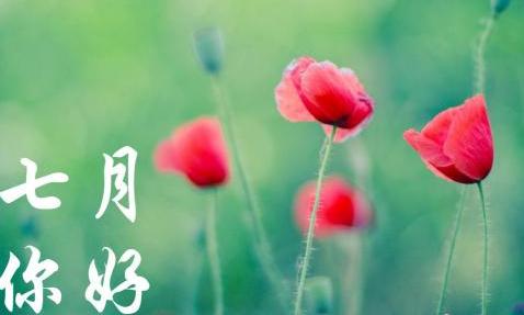 七月你好的说说图片 关于七月的朋友圈的文案
