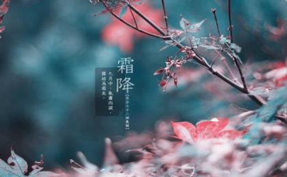 交通安全知识儿歌 蒙迪欧汽车口号-领先是你的动力