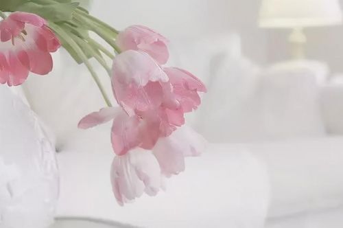 甜到炸的早安小情话 甜蜜早安情话动人