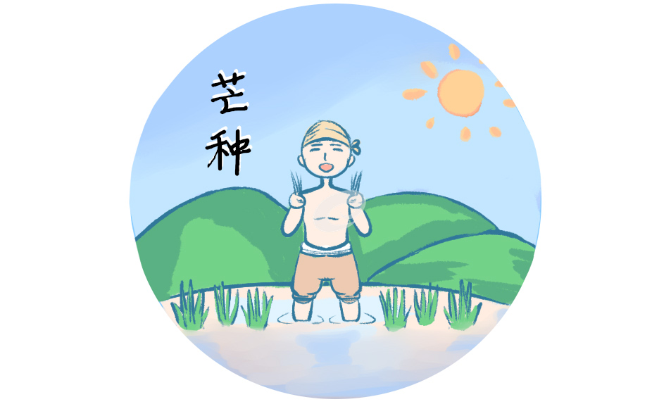 芒种节气的水果及农事活动