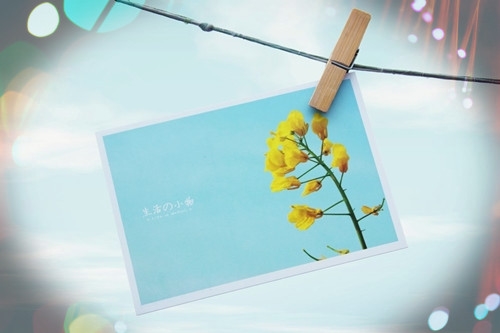 倒霉的事情接二连三的句子