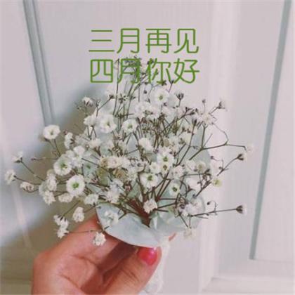 早安励志说说带图片 今天是我回来上班的第一天
