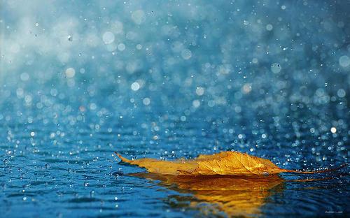 适合下雨天的朋友圈文案 关于下雨的精彩短句(精选99句)