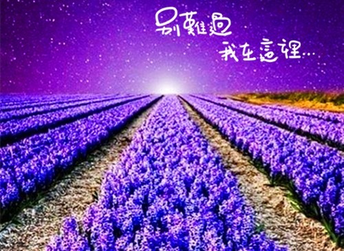 疼到心碎的伤感说说句子(精选37句)