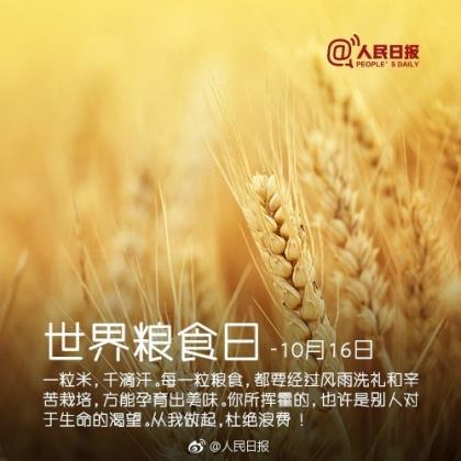 心情语 迎接新的一天图片