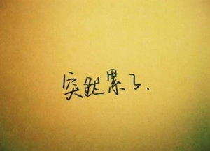 关于生活认识的经典语录