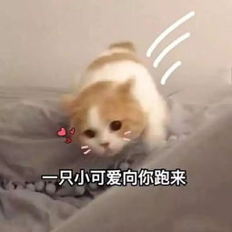 套路男朋友的方法
