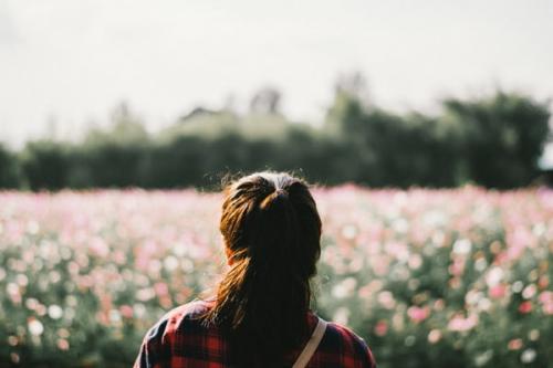 朋友圈晒迎春花的说说 迎春花开了的朋友圈说说(精选17句)