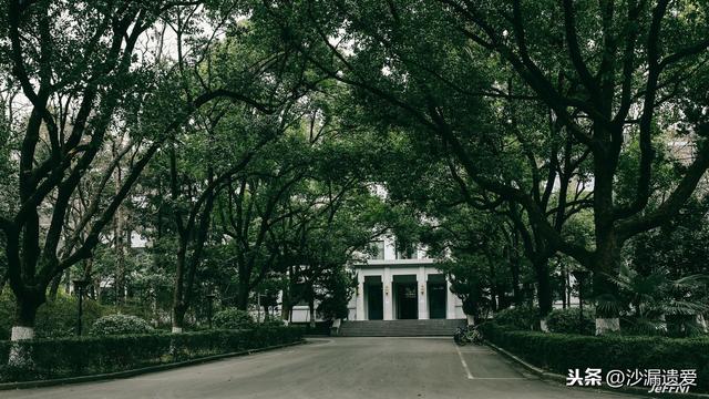 国际排名高于国内排名，南京大学是怎样一个神奇的存在