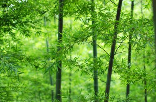 可爱到爆炸的句子 抖音调皮搞笑的句子收集26句